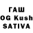 Галлюциногенные грибы MAGIC MUSHROOMS David Izquierdo