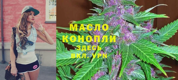 mix Ельня