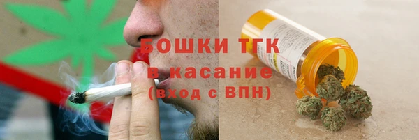 мет Елизово