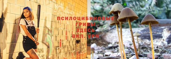 mix Ельня