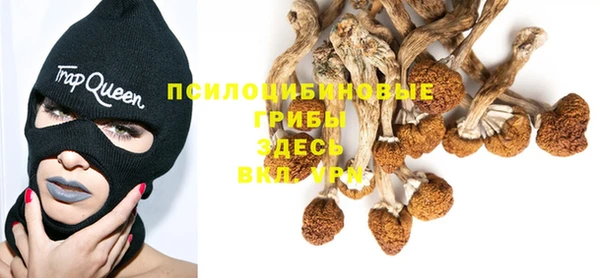 mdma Елабуга
