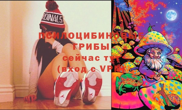 mix Ельня